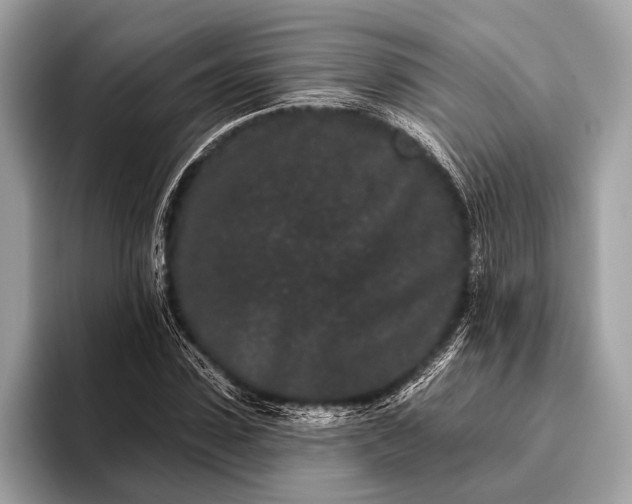 X0000095920923200801251027