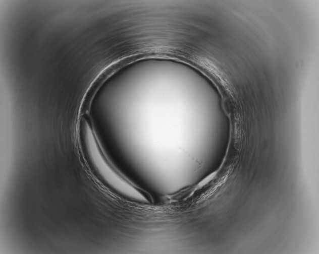 X0000095920924200801251027