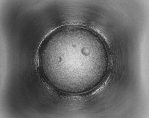 X0000095920925200801251027