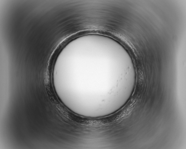 X0000095920927200801251027