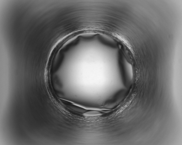 X0000095920928200801251027