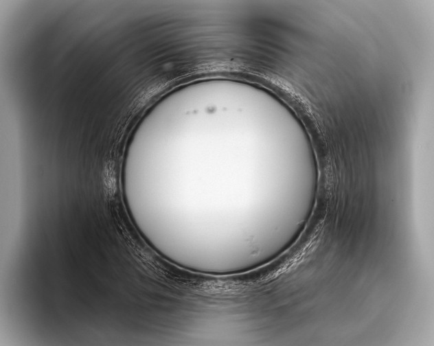 X0000095920929200801251027