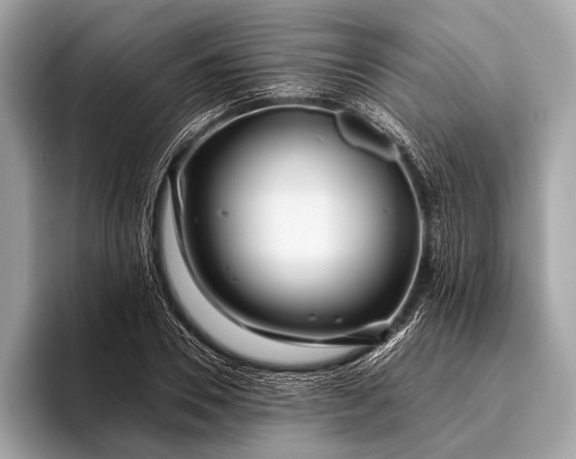 X0000095920930200801251027