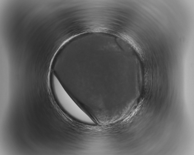 X0000095920932200801251027