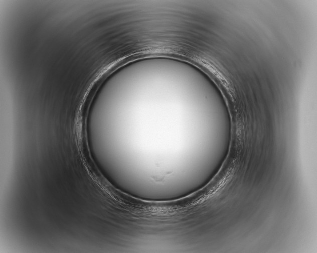 X0000095920933200801251027