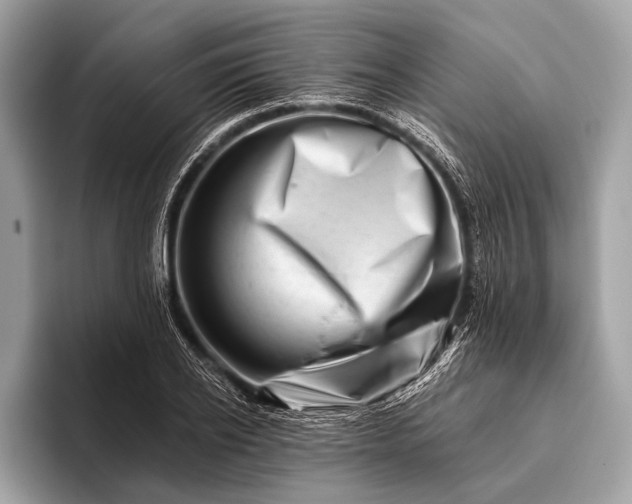 X0000095920934200801251027