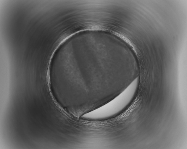 X0000095920935200801251027