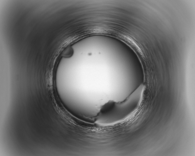 X0000095920938200801251027