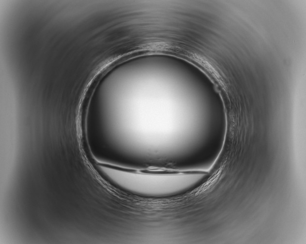 X0000095920939200801251027