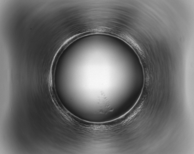 X0000095920940200801251027