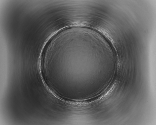 X0000095920941200801251027