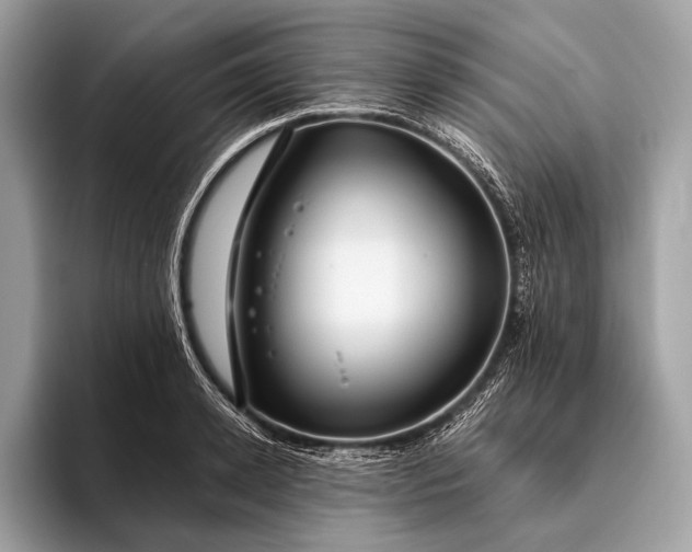 X0000095920942200801251027