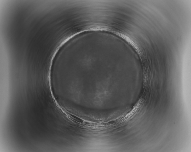 X0000095920943200801251027