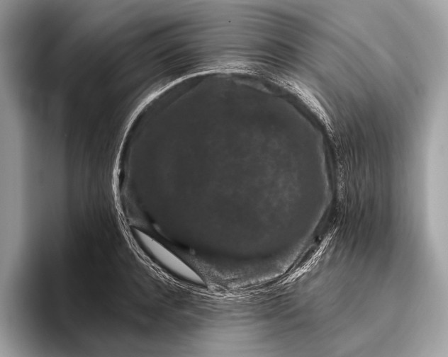 X0000095920944200801251027