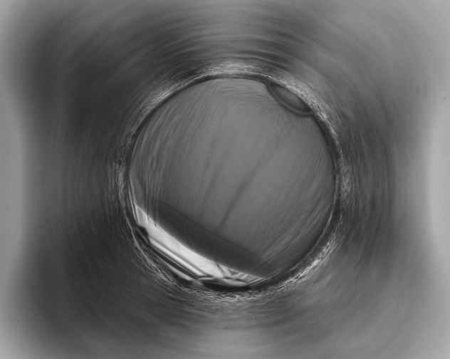 X0000095920945200801251027