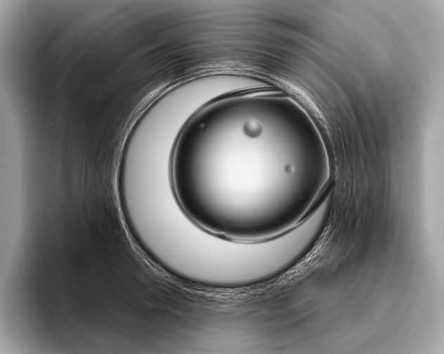 X0000095920946200801251027