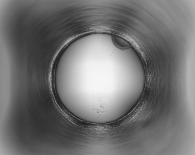 X0000095920947200801251027