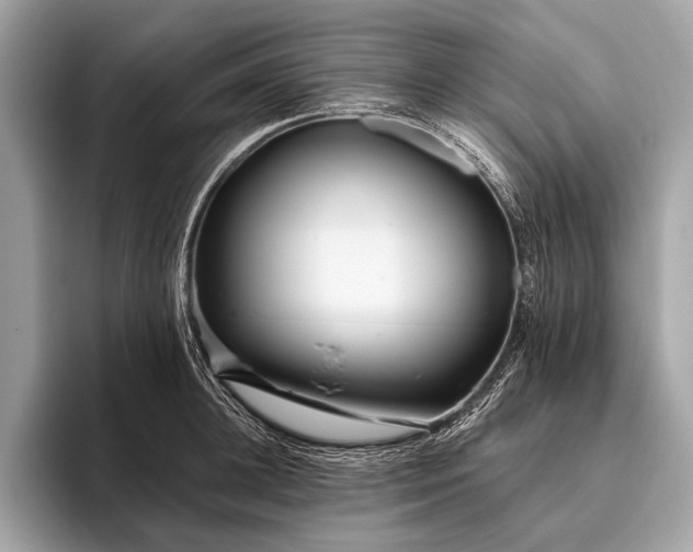 X0000095920948200801251027