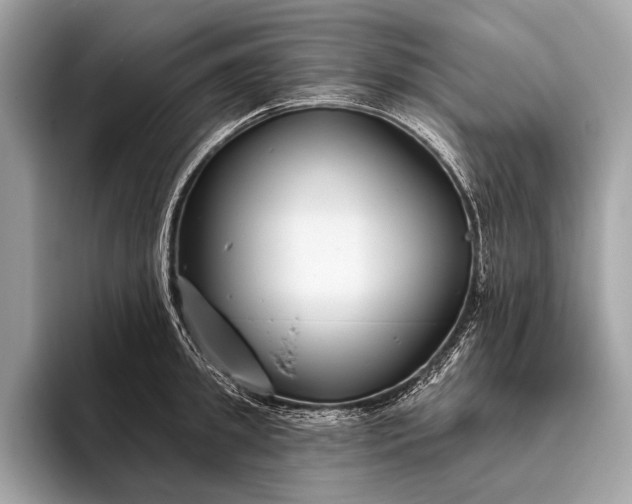 X0000095920949200801251027