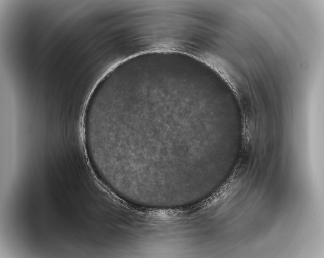 X0000095920950200801251027