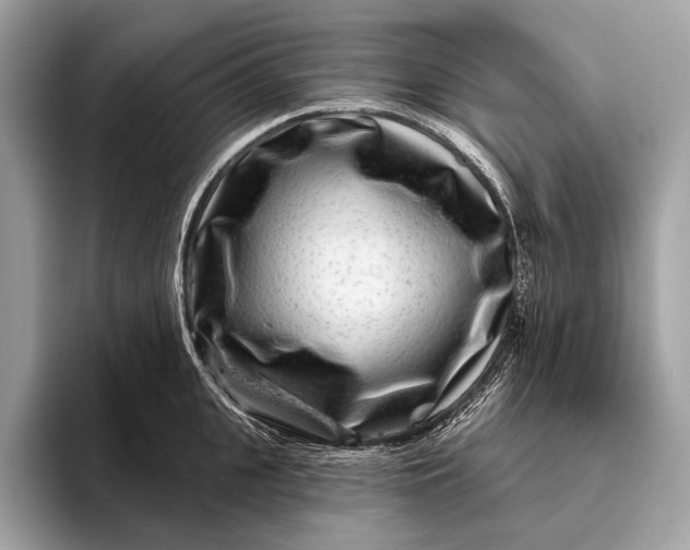 X0000095920951200801251027