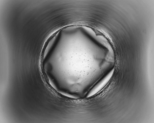 X0000095920952200801251027