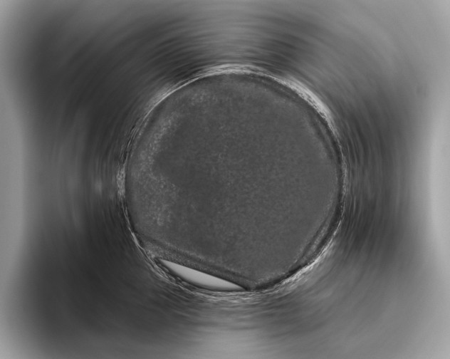 X0000095920953200801251027