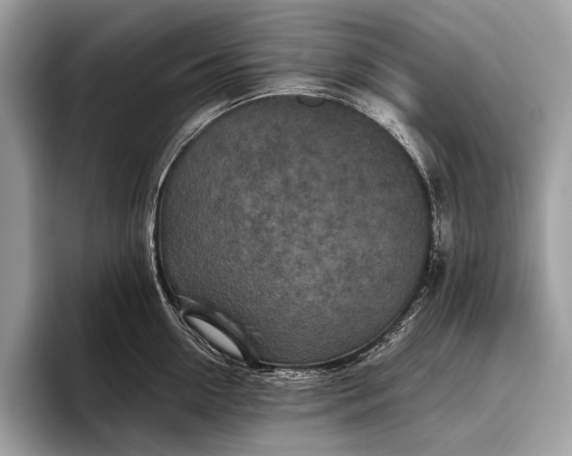 X0000095920954200801251027