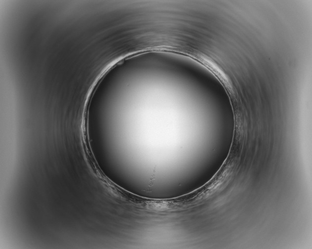 X0000095920956200801251027