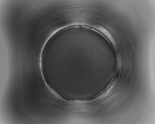 X0000095920958200801251027