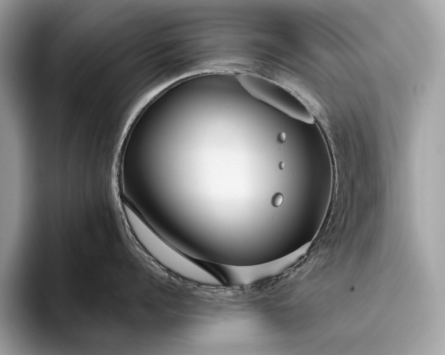 X0000095920960200801251027