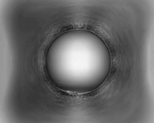 X0000095920961200801251027