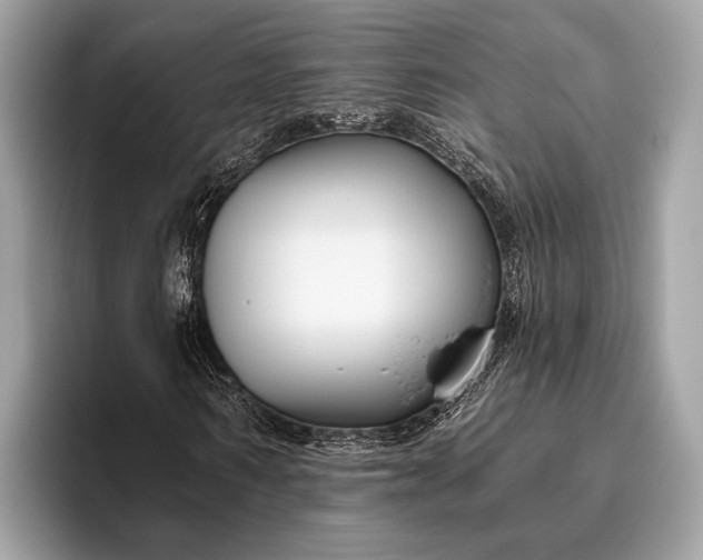 X0000095920962200801251027