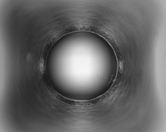 X0000095920963200801251026