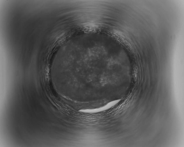 X0000095920964200801251026