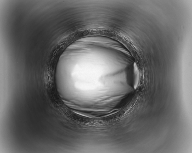 X0000095920966200801251026