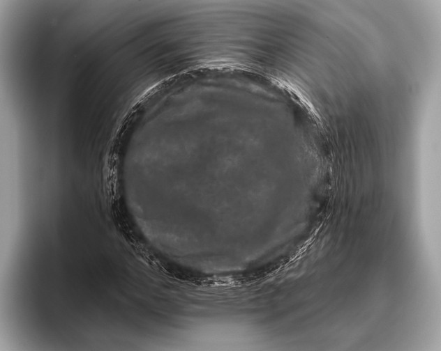 X0000095920968200801251026