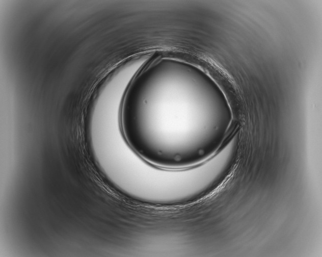 X0000095920969200801251026