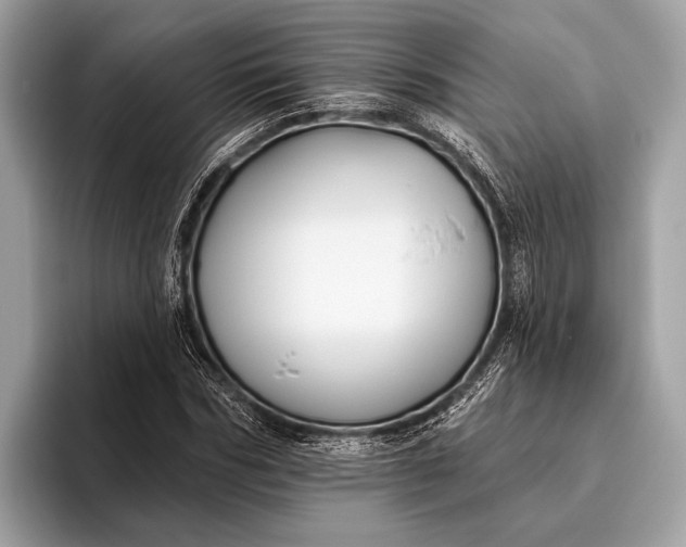 X0000095920970200801251026