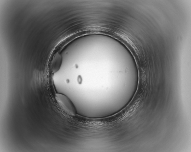 X0000095920971200801251026