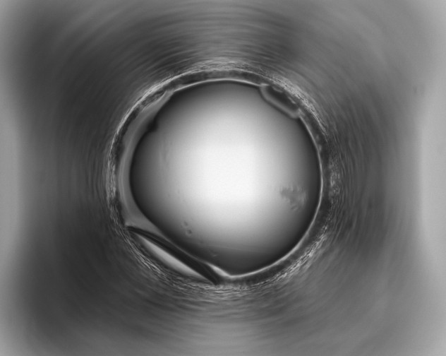 X0000095920973200801251026