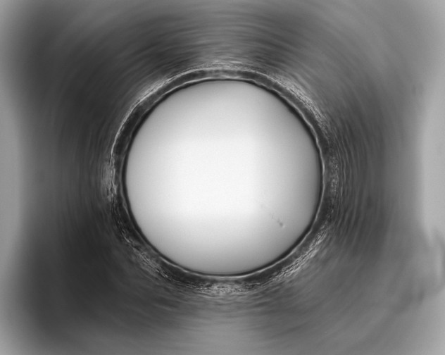 X0000095920974200801251026