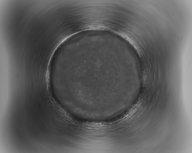 X0000095920975200801251026