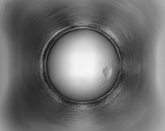 X0000095920976200801251026