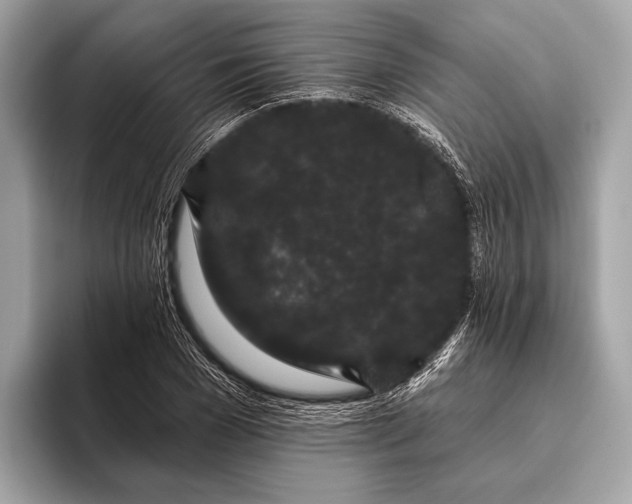 X0000095920977200801251026