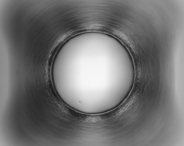 X0000095920978200801251026