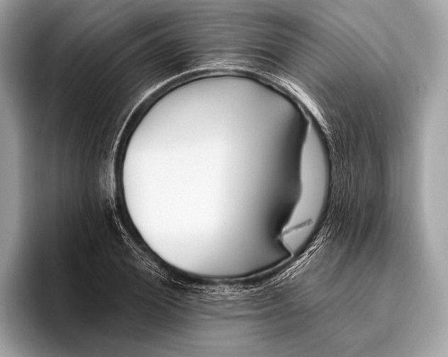 X0000095920980200801251026