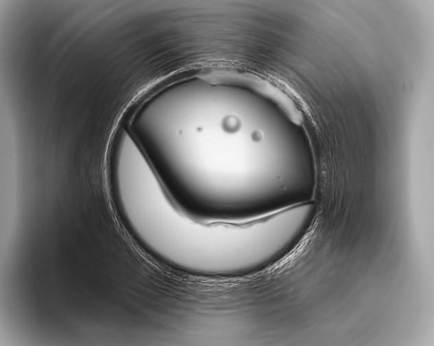 X0000095920981200801251026