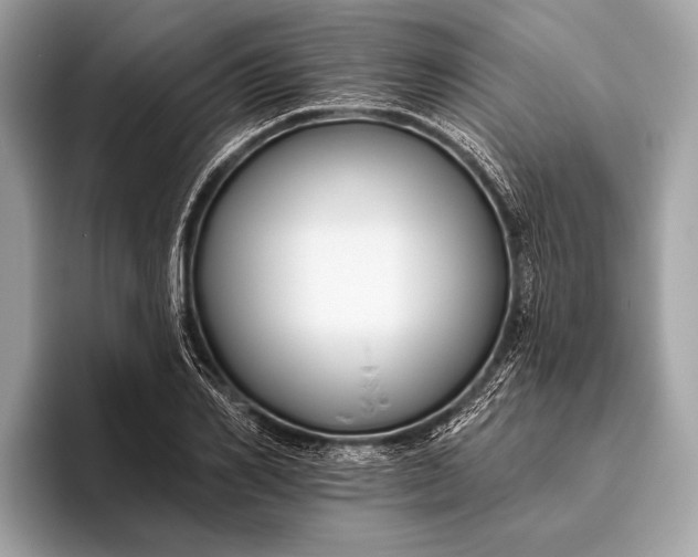 X0000095920982200801251026