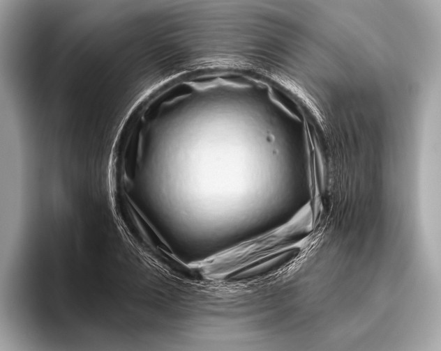 X0000095920983200801251026